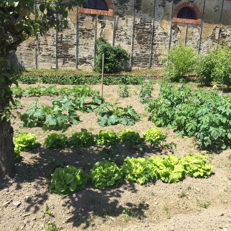Le Manoir De Benedicte B&B Cahan Εξωτερικό φωτογραφία